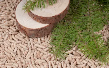Biomasse: Holzöfen, Hackschnitzelheizung und Pelletbrenner